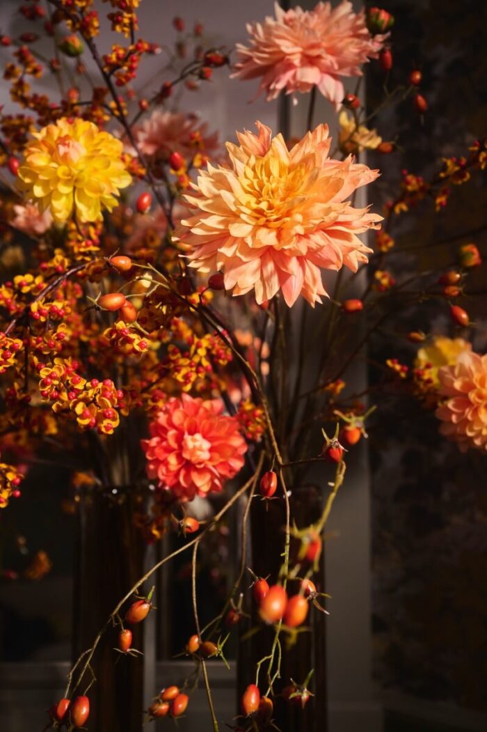 dolled-up-dahlias-1